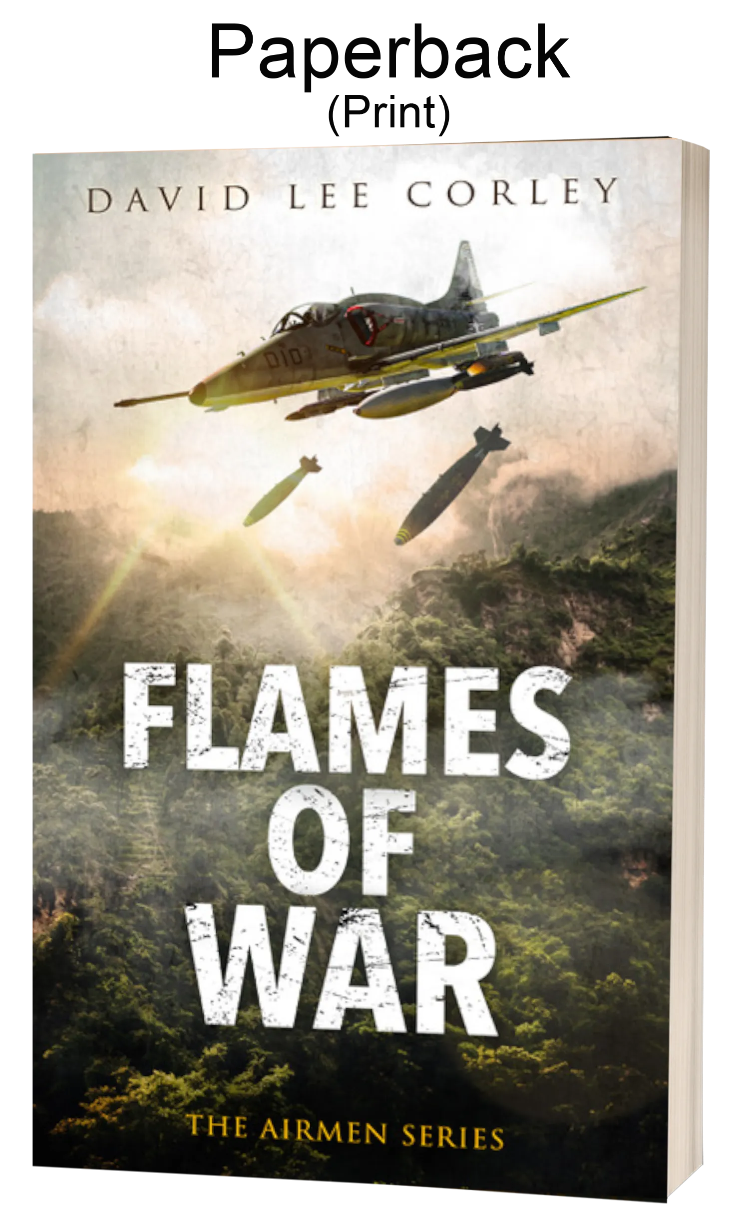 Flames of War: A Vietnam War Novel (Book 16 in The Airmen Series) - Paperback